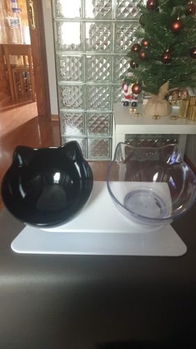 Customer photo review of The Purrfect Bowl