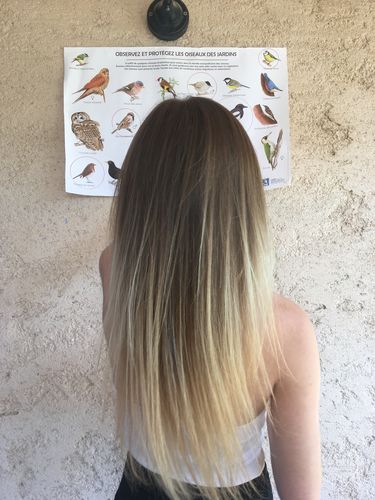 Customer photo review of La Brosse Lissante Professionnelle 3 en 1 HairLissy®