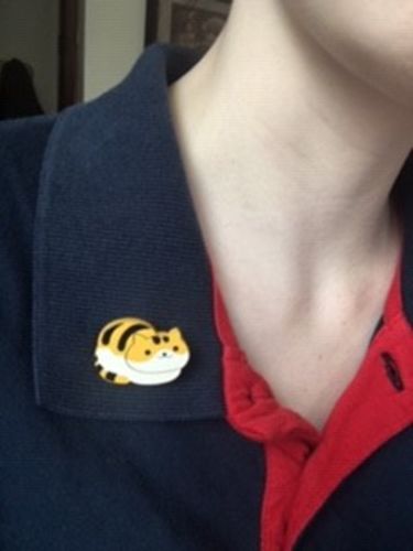Customer photo review of Neko Atsume Pins (7 Styles)
