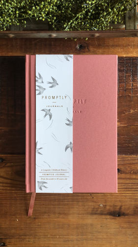 Customer photo review of Childhood History - Dusty Rose