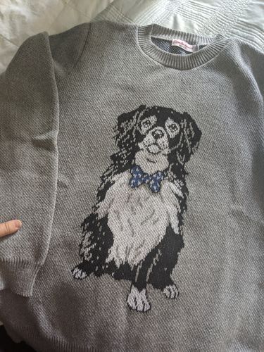 Customer photo review of Custom Knitted Dog With Bow Tie Sweater