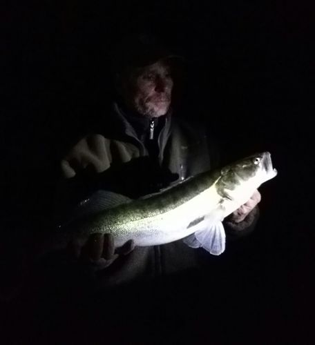 Customer photo review of 10g Smart Fishing Float