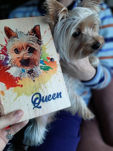 Reseña con foto de un cliente sobre Cuaderno Único