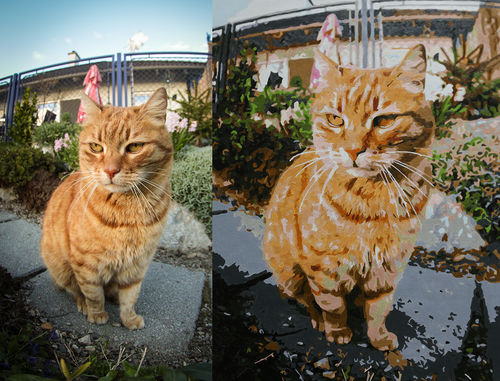 Customer photo review of Dein LIEBLINGSBILD - Als Malen nach Zahlen Set