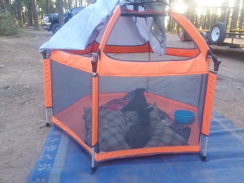 Customer photo review of Pop N' Go® Playpen