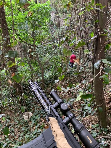 Customer photo review of Sniper VT 1-6X24 FFP First Focal Plane (FFP) Scope with Red/Green Illuminated Reticle