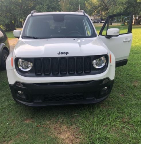 Customer photo review of Headlight Trim Cover Angry Bird for 2019-2020 Jeep Renegade