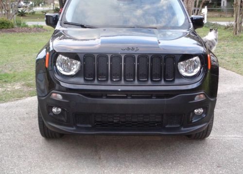 Customer photo review of Headlight Trim Cover Angry Bird for 2019-2020 Jeep Renegade