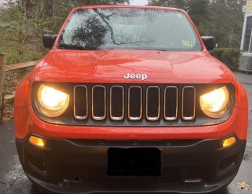 Customer photo review of Headlight Trim Cover Angry Bird for 2019-2020 Jeep Renegade