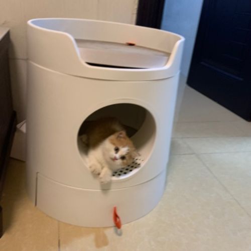 Customer photo review of Mayitwill XL Castle 2 in 1 Front-Entry Semi-Closed Cat Litter Box with Scoop