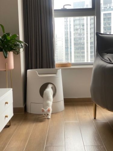 Customer photo review of Mayitwill XL Castle 2 in 1 Front-Entry Semi-Closed Cat Litter Box with Scoop