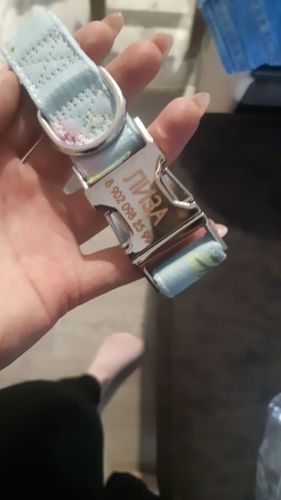 Customer photo review of Petyfy ™ Nylon Leash