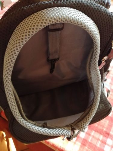 Customer photo review of Petyfy™ Dog Backpack + Lifetime Warranty!