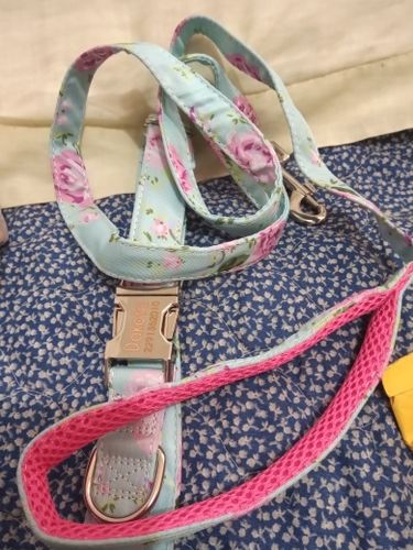 Customer photo review of Petyfy™ Personalized Dog Collar