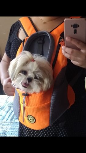 Customer photo review of Petyfy™ Dog Backpack + Lifetime Warranty!