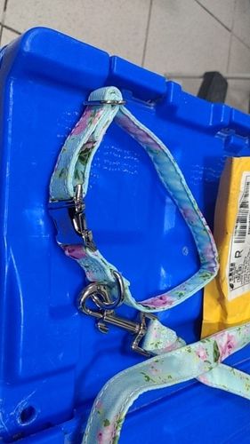 Customer photo review of Petyfy ™ Nylon Leash