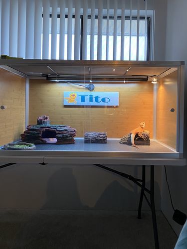 Customer photo review of 4'x2'x2' Wood Panel Reptile Enclosure by Zen Habitats