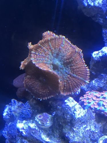 Customer photo review of Round Sticker