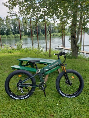 Customer photo review of 2021 Wallke X3 Pro | Full Suspension Folding Electric Fat Bike