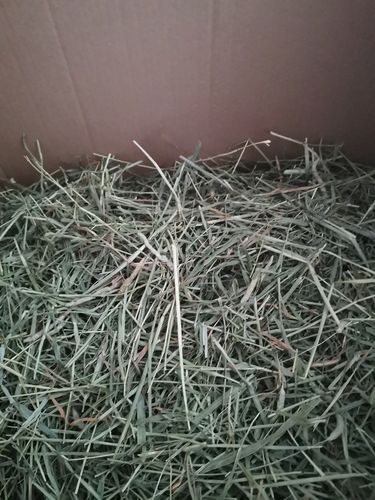 Customer photo review of Timothy Hay Box