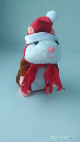 Customer photo review of Super Funny Talking Hamster