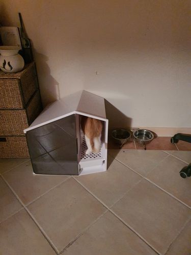 Customer photo review of Furrytail XL Semi-Closed Glow House Cat Litter Box with Scoop