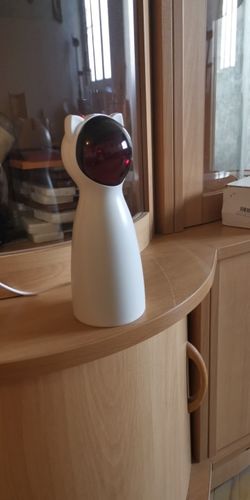 Customer photo review of Cat Interactive Auto Rotating Toy