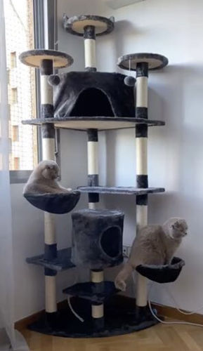 Customer photo review of 200 cm Arranhador Incrivel