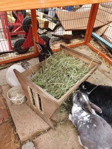 Customer photo review of 50/50 Hay Box