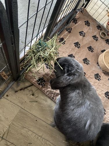 Customer photo review of 50/50 Hay Box