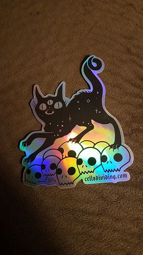 Customer photo review of Cat On Skulls, Holographic Sticker