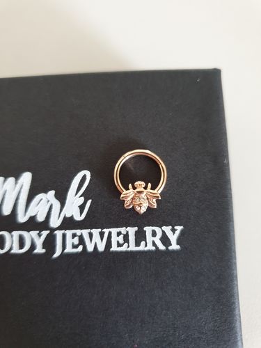 Customer photo review of Bee with Gems Hinged Segment Ring