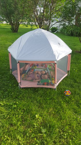 Customer photo review of Pop N' Go® Playpen