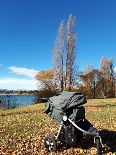 Customer photo review of Bumbleride Indie Stroller - Dawn Grey