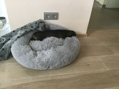 Customer photo review of FluffyBed™ - Gemütliches Haustierbett