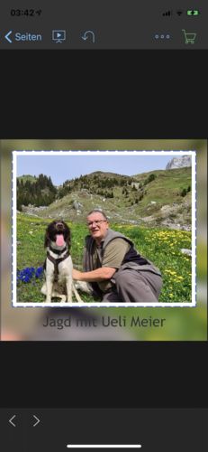 Customer photo review of Hoodie Hirsch