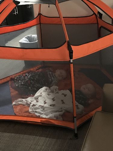 Customer photo review of Pop N' Go® Playpen