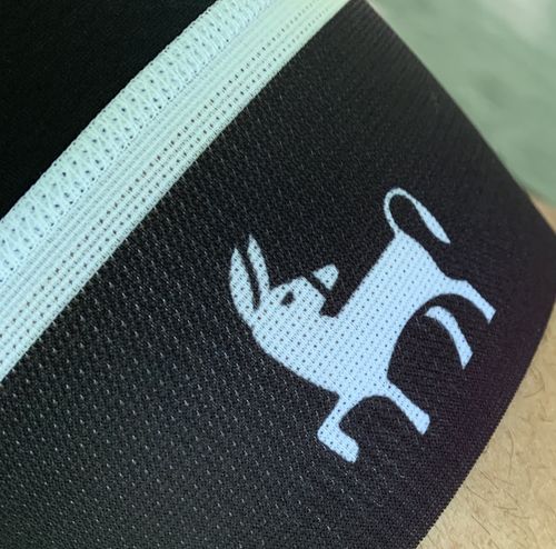 Customer photo review of DLR Team Bib Short