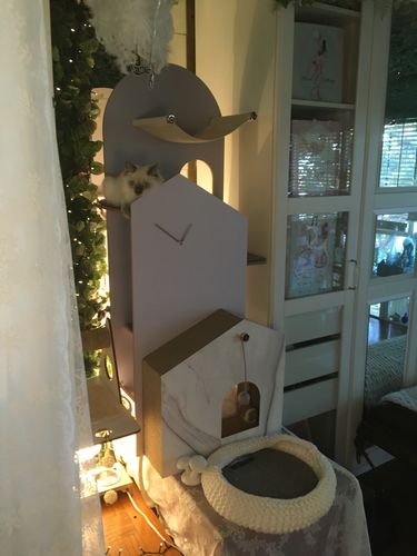 Customer photo review of Furrytail Cat Time Cat Scratching Post Tree | Cat Tower
