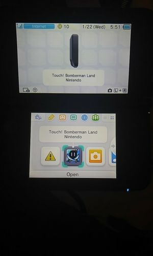 Customer photo review of DS Game Cartridge Pokeon Series Black White HeartGold SoulSilver Diamond Pearl Platinum US Version