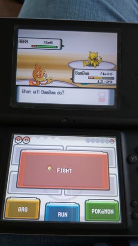 Customer photo review of DS Game Cartridge Pokeon Series Black White HeartGold SoulSilver Diamond Pearl Platinum US Version