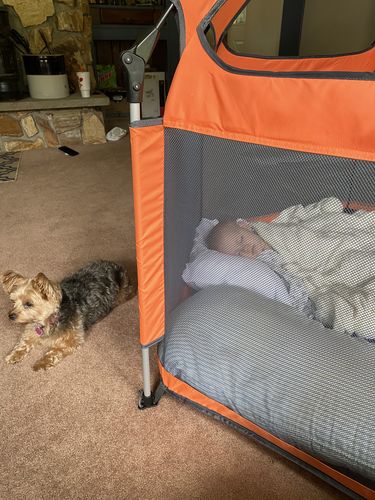 Customer photo review of Pop N' Go® Playpen