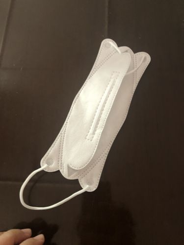 Customer photo review of AirQUEEN Nanomask