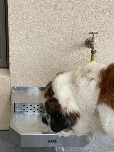 Customer photo review of Pet Rehydration Station XL