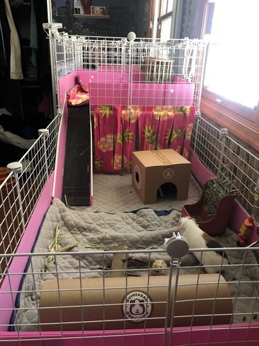 Customer photo review of GuineaDad Liner - Smaller Sizes without Pockets