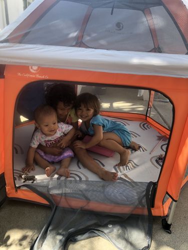 Customer photo review of Pop N' Go® Playpen