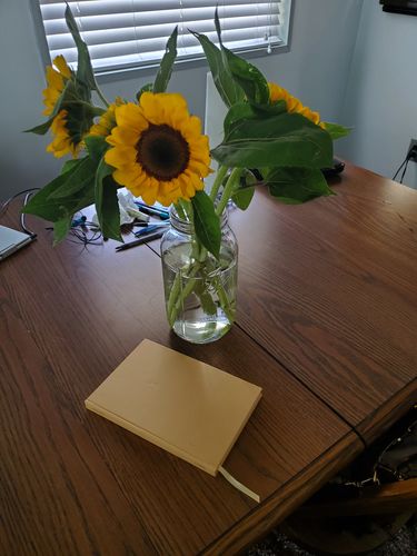 Customer photo review of Blank Journal - Create Ochre Linen