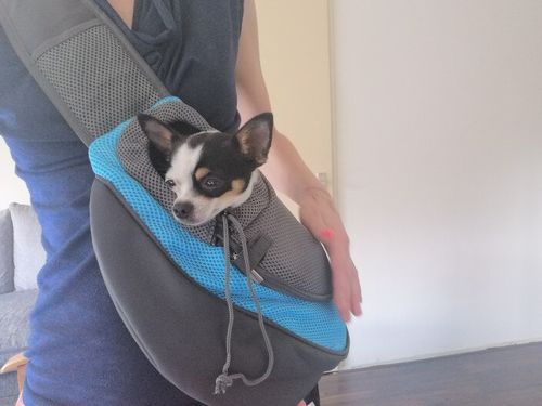 Customer photo review of Petyfy™ Shoulder Dog Bag