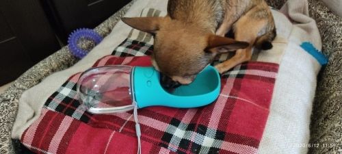 Customer photo review of Petyfy™ - Travel Water Bottle