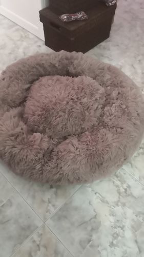 Customer photo review of Dog Bed - Super Soft Calming Bed™